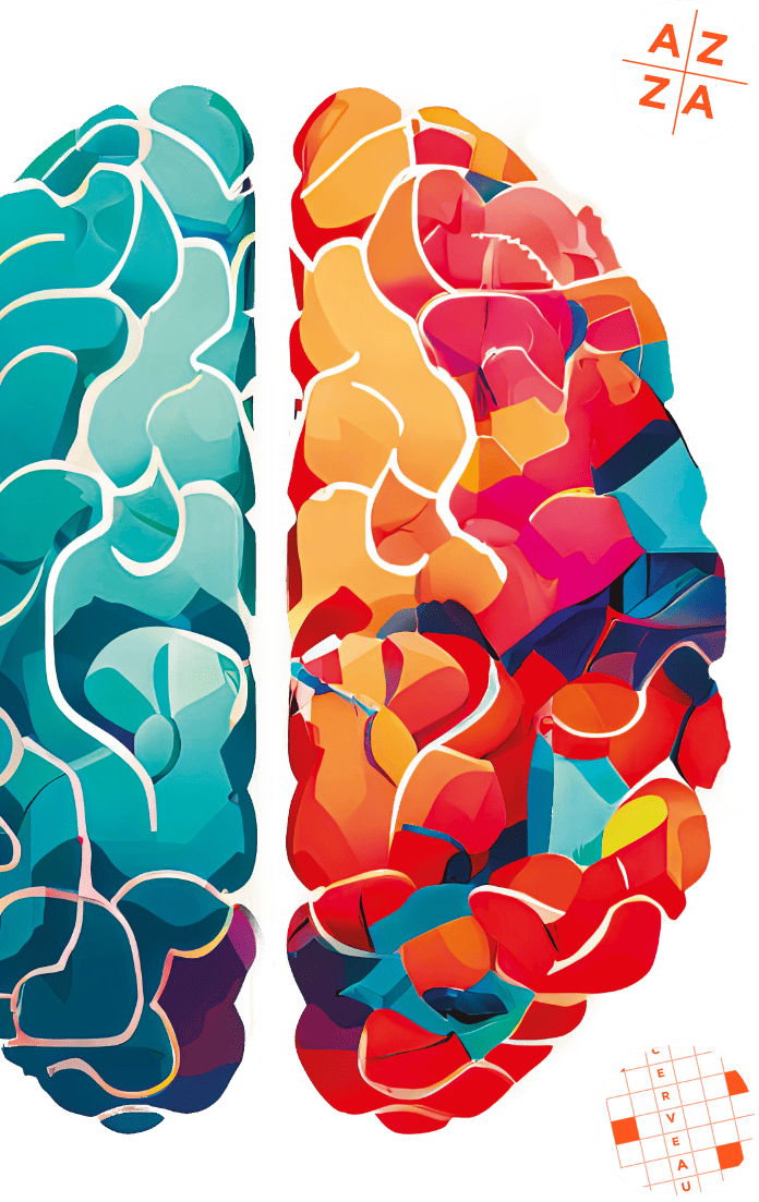 cerveau